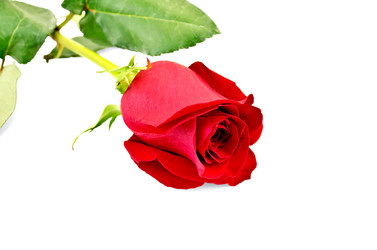 Similar image 1790664