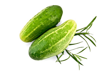 Similar image 1790686