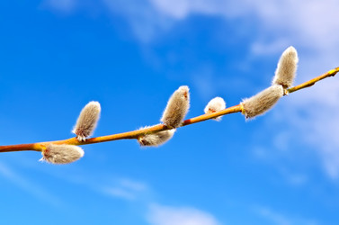 Similar image 1790693