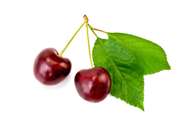 Similar image 1790697