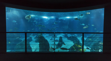 Similar image 1790714