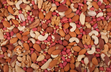 Similar image 1790735