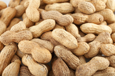 Similar image 1790790