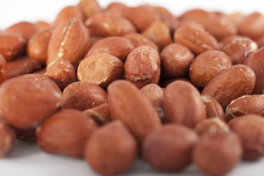 Similar image 1790806