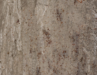 Similar image 1790811