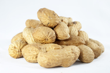 Similar image 1790844