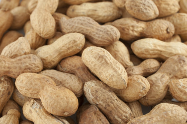 Similar image 1790863