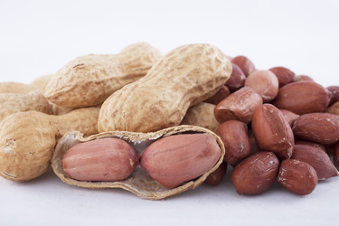 Similar image 1790883