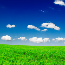 Similar image 1790907