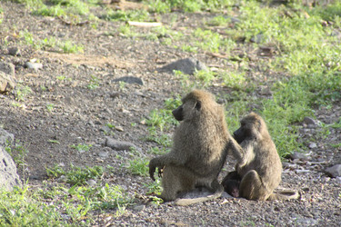 Similar image 1790934