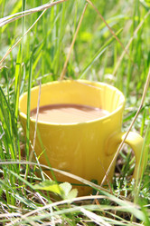 Similar image 1790936