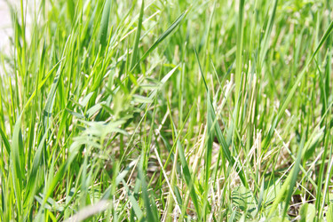 Similar image 1790955