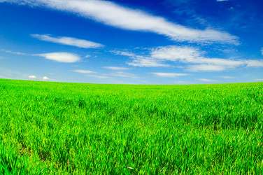 Similar image 1790964