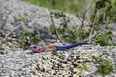 Similar image 1790971