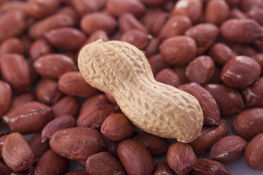 Similar image 1790977