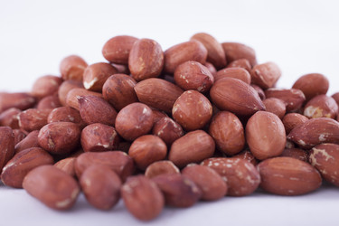 Similar image 1790994