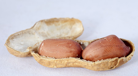 Similar image 1791007