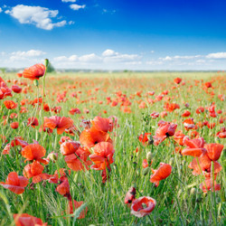 Similar image 1791010