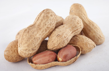 Similar image 1791028