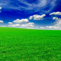 Similar image 1791068