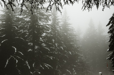 Similar image 1791126