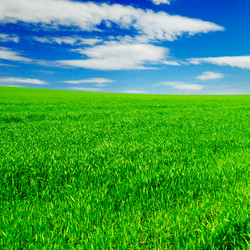 Similar image 1791131