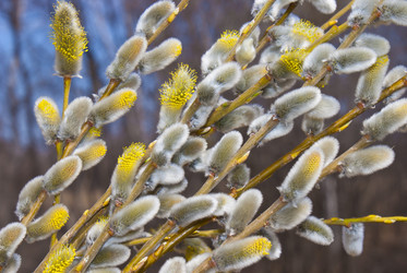 Similar image 1791136