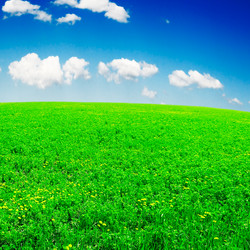 Similar image 1791154