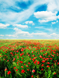 Similar image 1791198