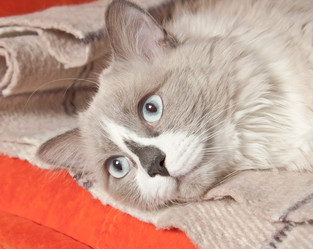 Similar image 1791260