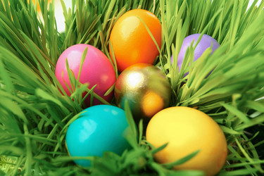 Similar image 1791295