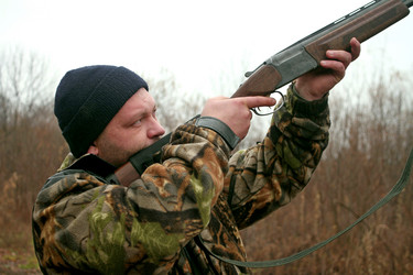 Similar image 1791446