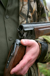 Similar image 1791454