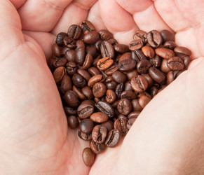 Similar image 1791461