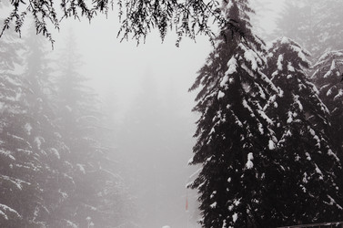 Similar image 1791482