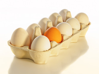 Similar image 1791520