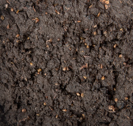 Similar image 1791531