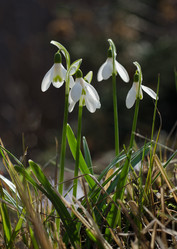 Similar image 1791545