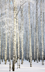 Similar image 1791618