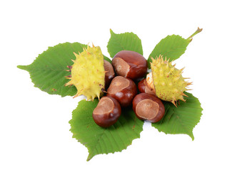 Similar image 1791644