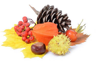 Similar image 1791650