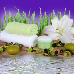 Similar image 1791684