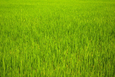 Similar image 1791835