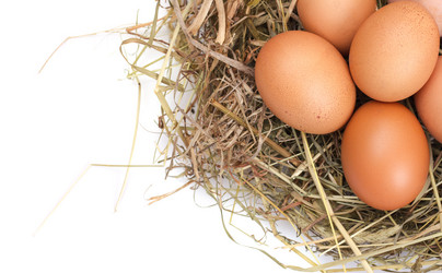 Similar image 1791873