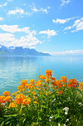 Similar image 1791910