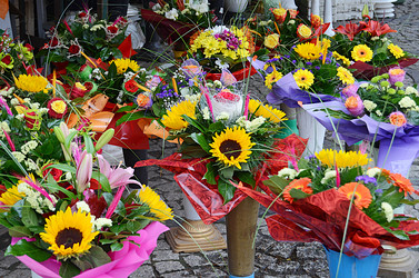 Similar image 1791940