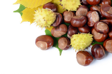 Similar image 1791951