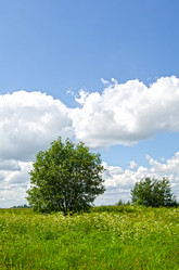 Similar image 1791955