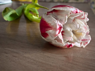 Similar image 1792041