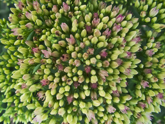 Similar image 1792527